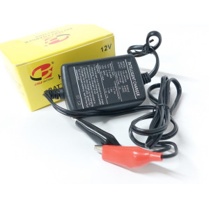 Зарядное устройство АКБ12V Импульсное